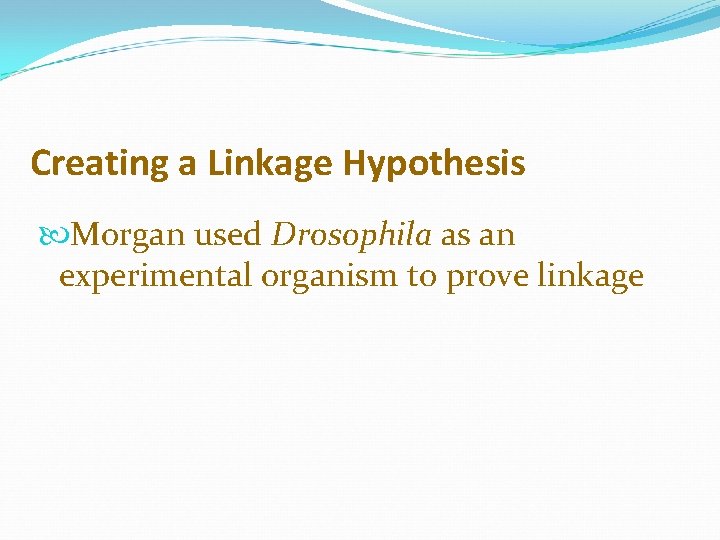 Creating a Linkage Hypothesis Morgan used Drosophila as an experimental organism to prove linkage