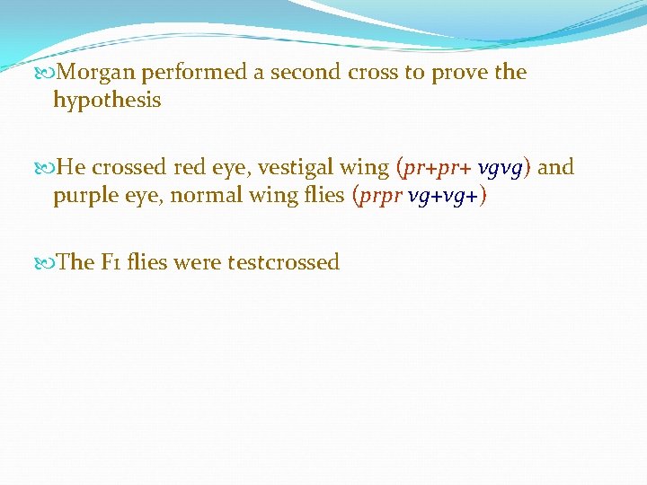  Morgan performed a second cross to prove the hypothesis He crossed red eye,