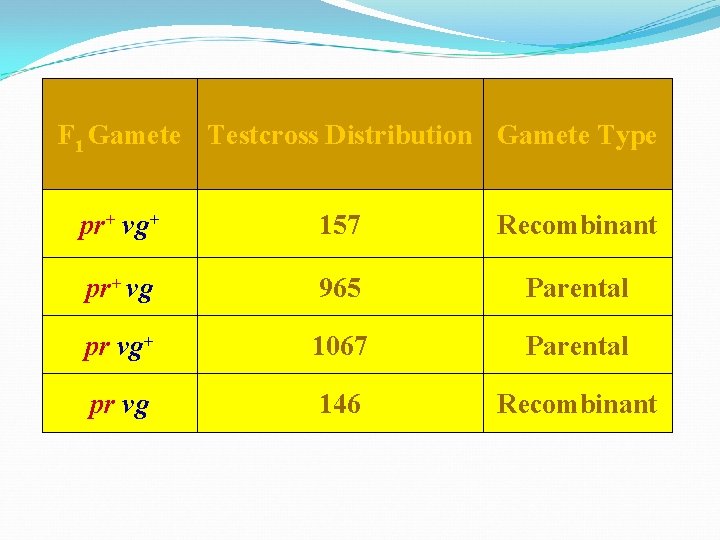 F 1 Gamete Testcross Distribution Gamete Type pr+ vg+ 157 Recombinant pr+ vg 965