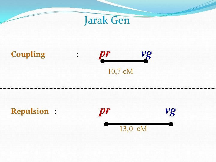 Jarak Gen Coupling : pr vg 10, 7 c. M Repulsion : pr vg