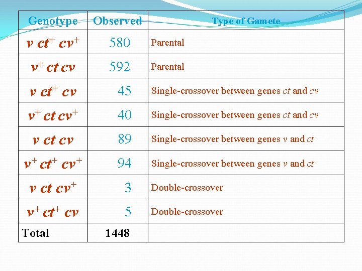 Genotype Observed v ct+ cv+ 580 Type of Gamete Parental v+ ct cv 592