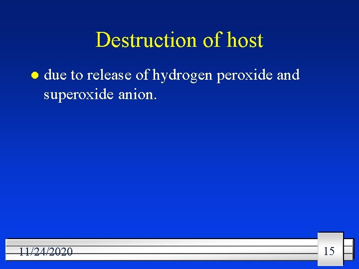 Destruction of host l due to release of hydrogen peroxide and superoxide anion. 11/24/2020