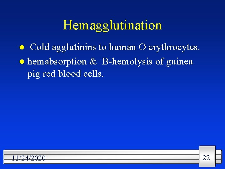 Hemagglutination Cold agglutinins to human O erythrocytes. l hemabsorption & B-hemolysis of guinea pig