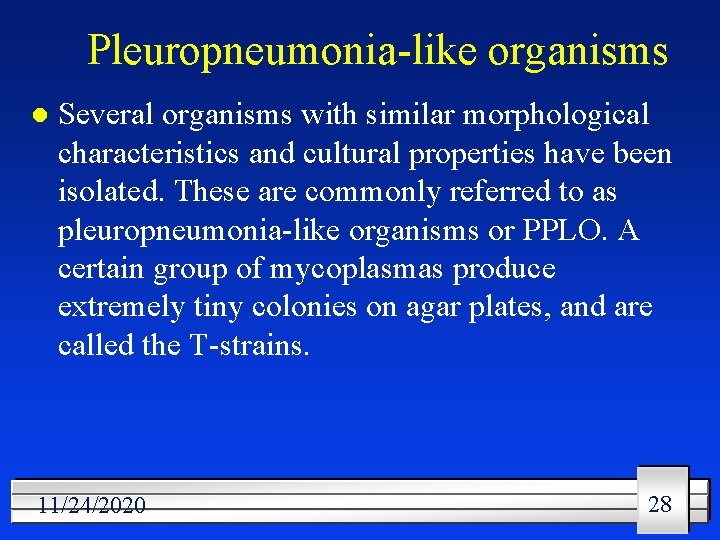 Pleuropneumonia-like organisms l Several organisms with similar morphological characteristics and cultural properties have been