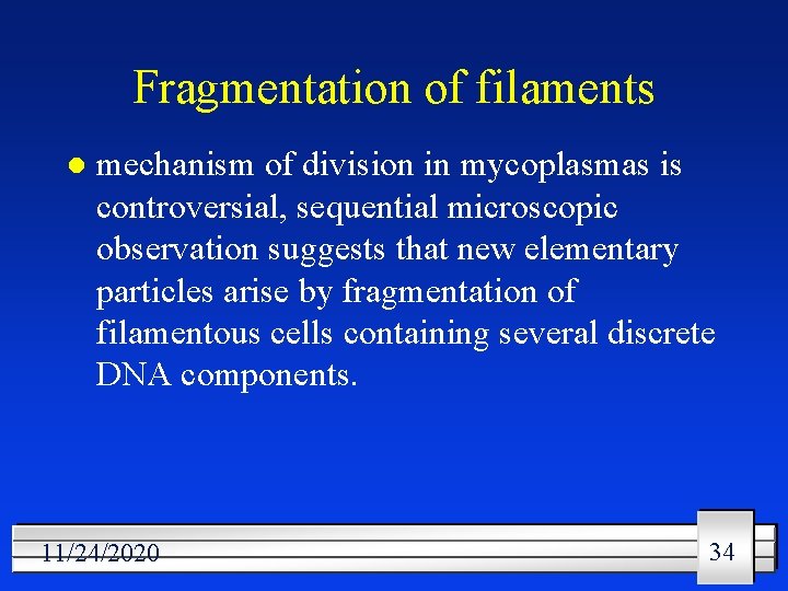 Fragmentation of filaments l mechanism of division in mycoplasmas is controversial, sequential microscopic observation