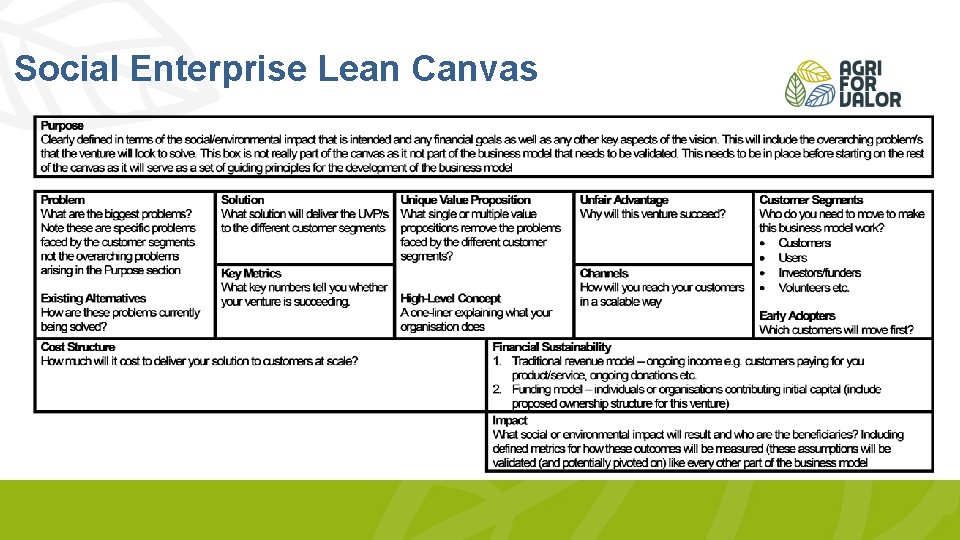 Social Enterprise Lean Canvas 
