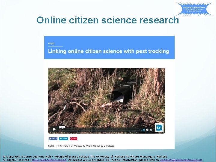 Online citizen science research © Copyright. Science Learning Hub – Pokapū Akoranga Pūtaiao The