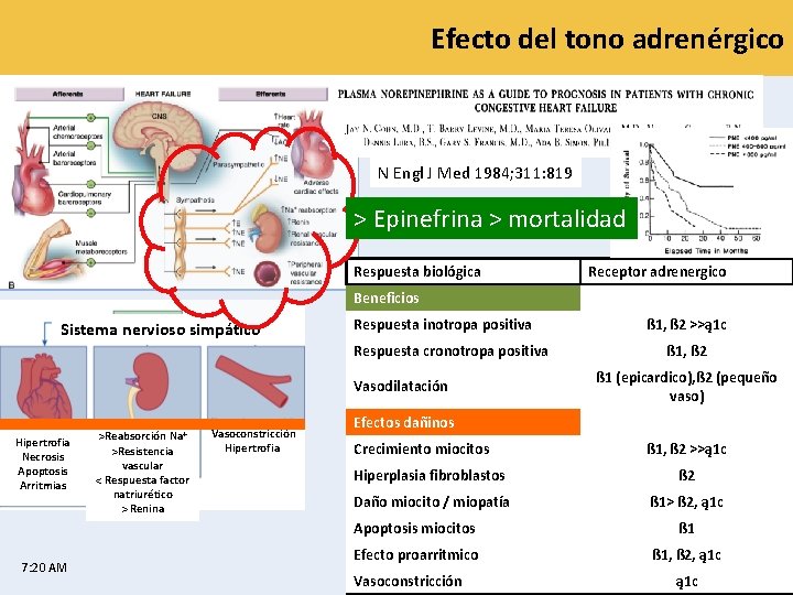 Efecto del tono adrenérgico N Engl J Med 1984; 311: 819 > Epinefrina >