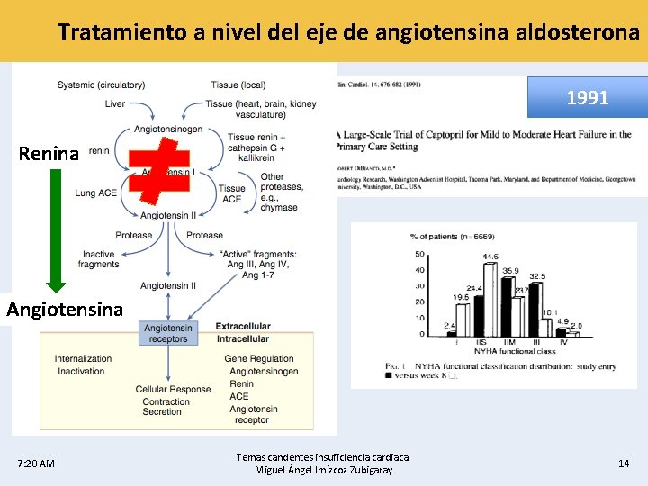 Tratamiento a nivel del eje de angiotensina aldosterona 1991 Renina Angiotensina 7: 20 AM