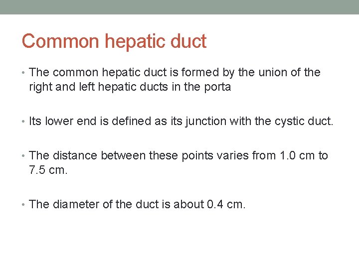 Common hepatic duct • The common hepatic duct is formed by the union of Common hepatic duct • The common hepatic duct is formed by the union of