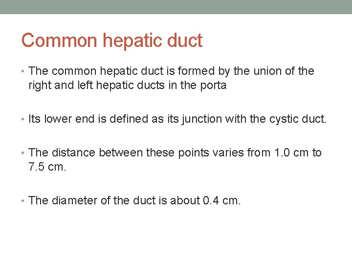 Common hepatic duct • The common hepatic duct is formed by the union of