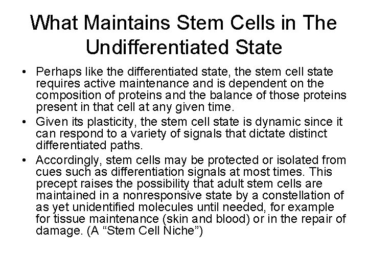What Maintains Stem Cells in The Undifferentiated State • Perhaps like the differentiated state,