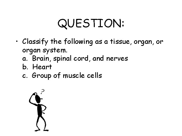 QUESTION: • Classify the following as a tissue, organ, or organ system. a. Brain,
