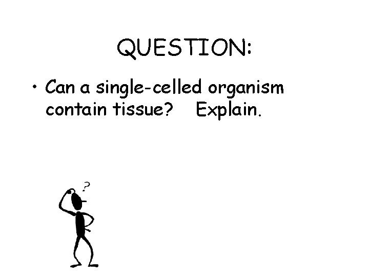 QUESTION: • Can a single-celled organism contain tissue? Explain. 