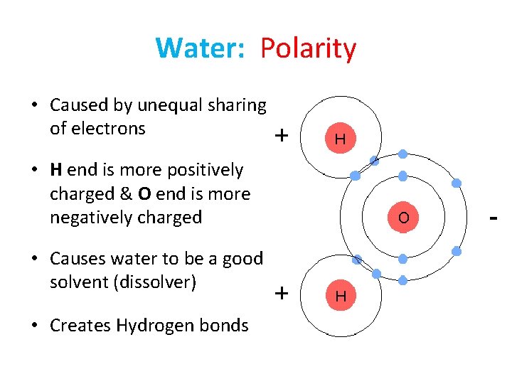 Water: Polarity • Caused by unequal sharing of electrons • H end is more