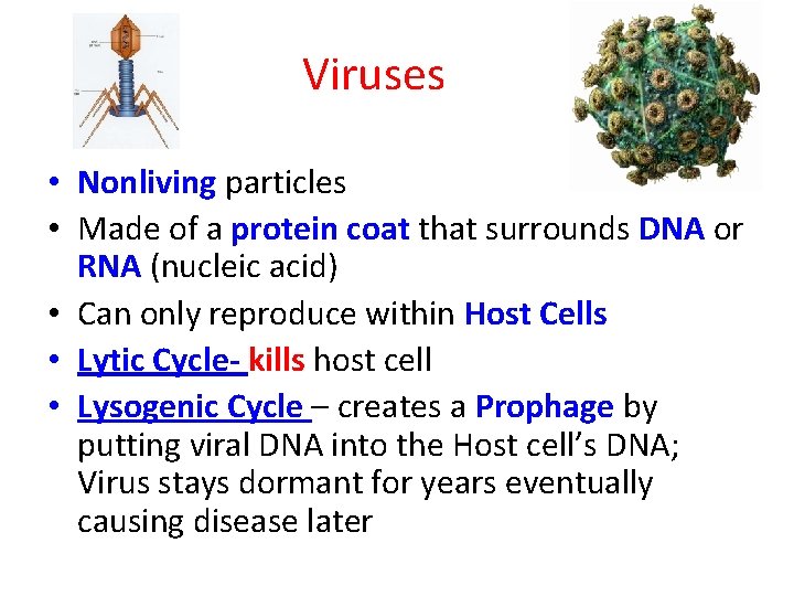 Viruses • Nonliving particles • Made of a protein coat that surrounds DNA or
