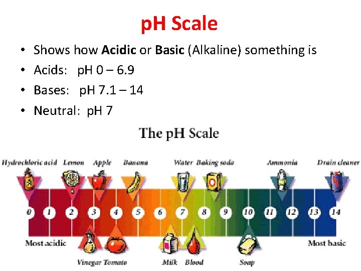 p. H Scale • • Shows how Acidic or Basic (Alkaline) something is Acids: