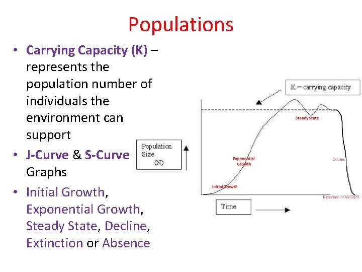 Populations • Carrying Capacity (K) – represents the population number of individuals the environment