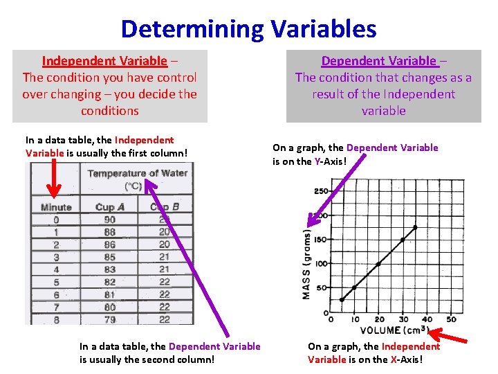 Determining Variables Independent Variable – The condition you have control over changing – you
