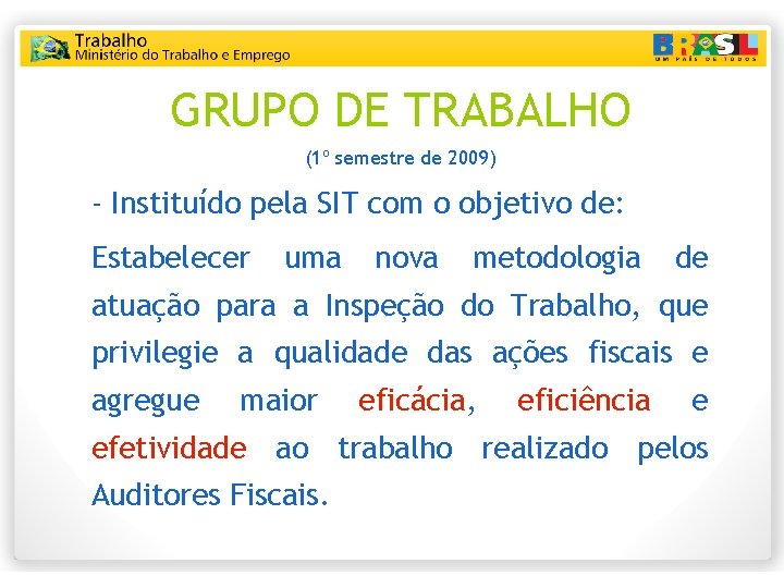GRUPO DE TRABALHO (1º semestre de 2009) - Instituído pela SIT com o objetivo