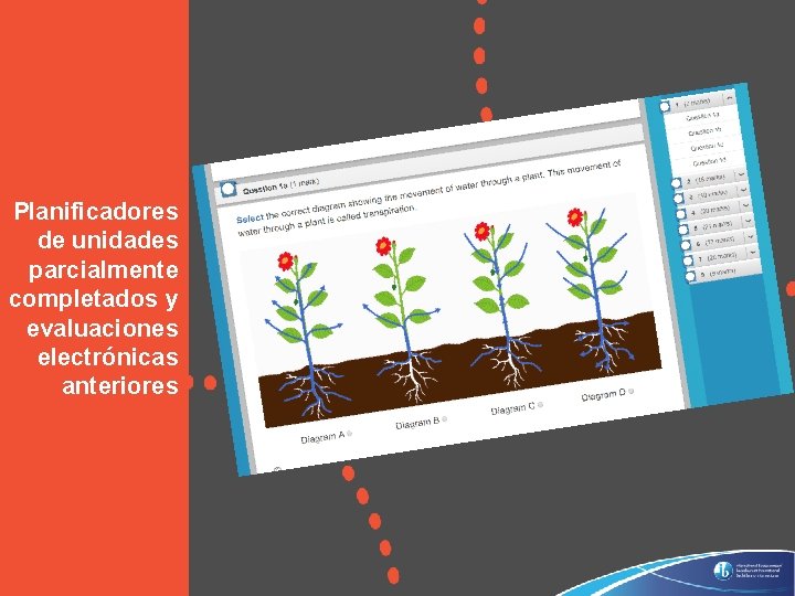 Planificadores de unidades parcialmente completados y evaluaciones electrónicas anteriores © International Baccalaureate Organization 2019