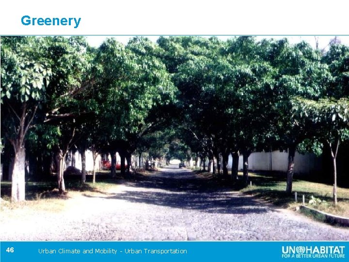 Greenery 46 Urban Climate and Mobility - Urban Transportation 