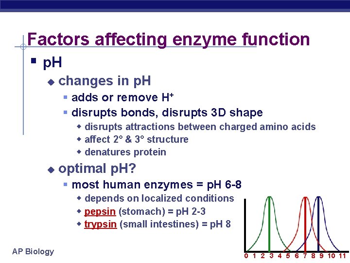 Factors affecting enzyme function § p. H u changes in p. H § adds