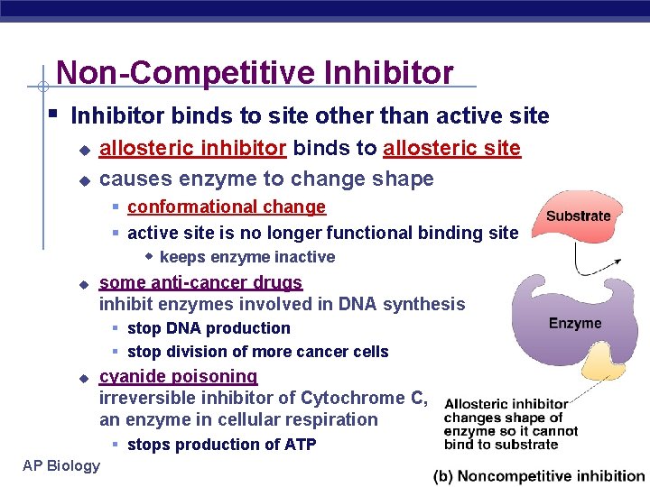Non-Competitive Inhibitor § Inhibitor binds to site other than active site u u u