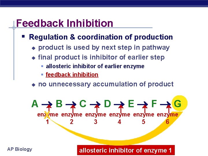 Feedback Inhibition § Regulation & coordination of production u u product is used by