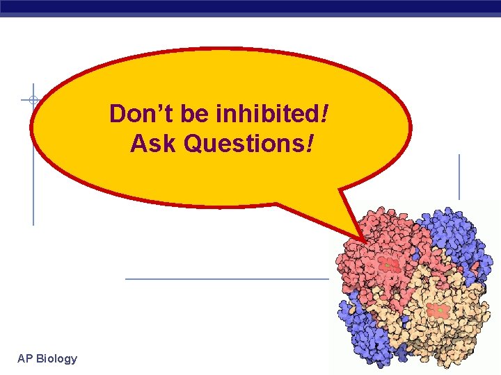 Don’t be inhibited! Ask Questions! AP Biology 2007 -2008 