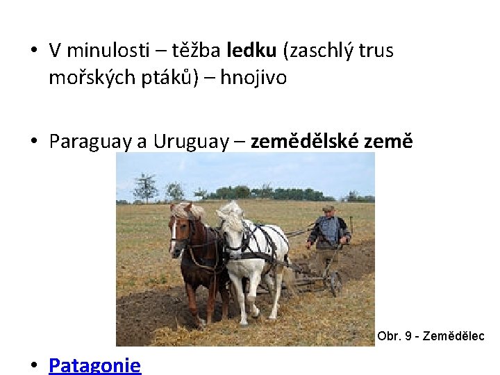  • V minulosti – těžba ledku (zaschlý trus mořských ptáků) – hnojivo •