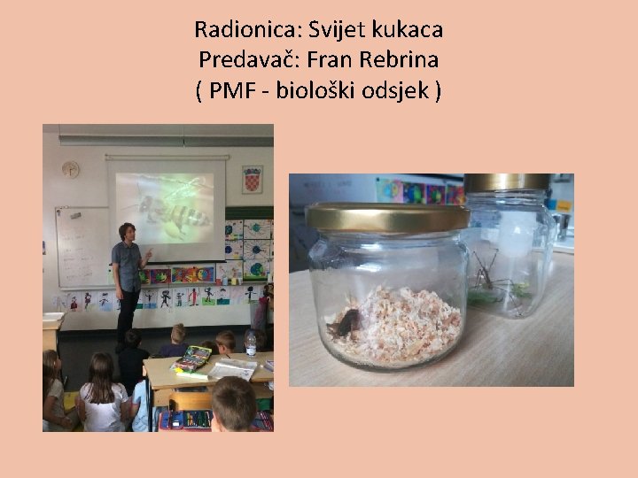 Radionica: Svijet kukaca Predavač: Fran Rebrina ( PMF - biološki odsjek ) 