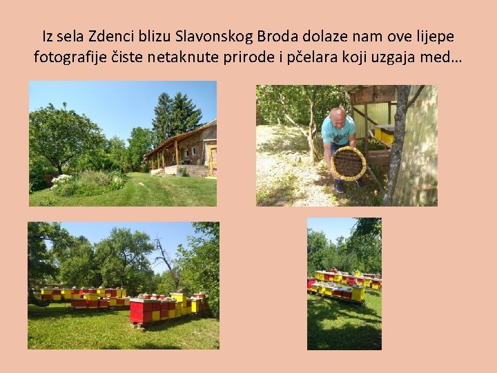 Iz sela Zdenci blizu Slavonskog Broda dolaze nam ove lijepe fotografije čiste netaknute prirode