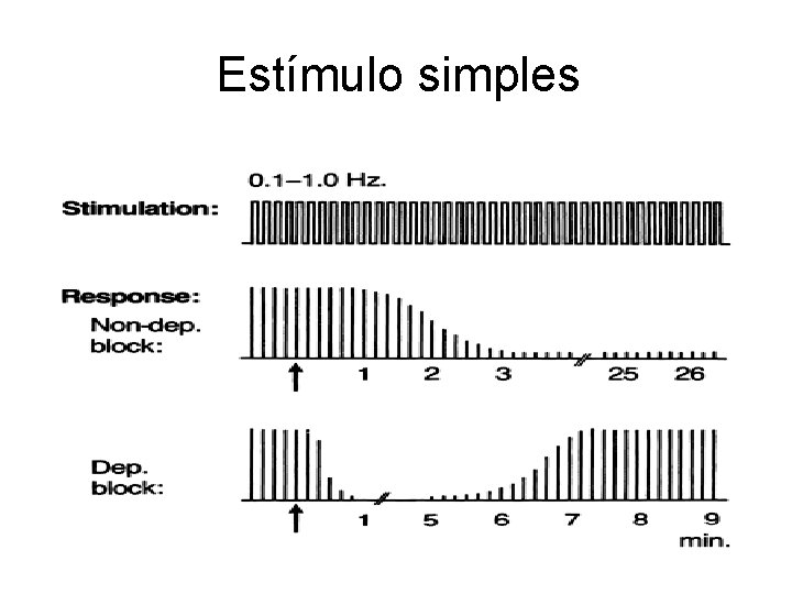 Estímulo simples 