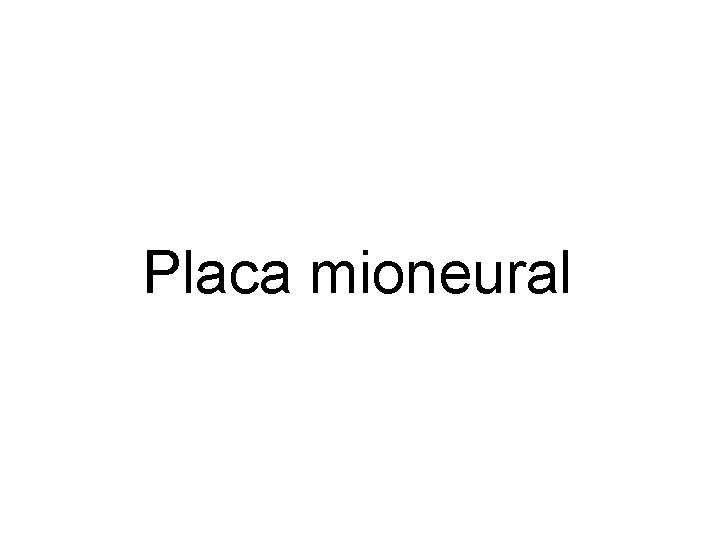 Placa mioneural 