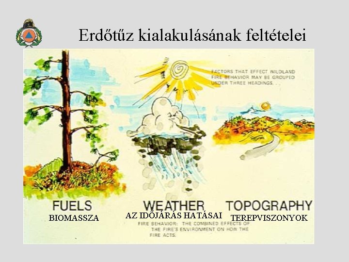 Erdőtűz kialakulásának feltételei BIOMASSZA AZ IDŐJÁRÁS HATÁSAI TEREPVISZONYOK 