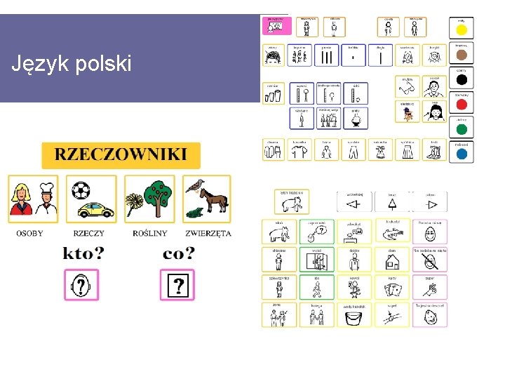 Język polski 