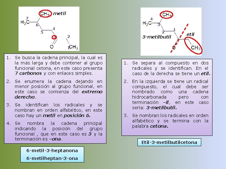 metil 7 4 6 5 3 4 3 2 2 3 -metilbutil 1 etil