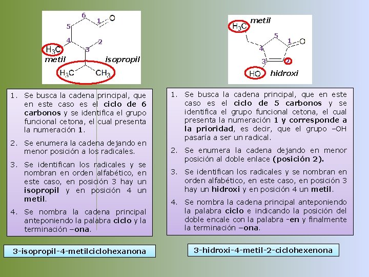 6 5 4 metil 1 5 2 3 metil 1 4 isopropil 3 2