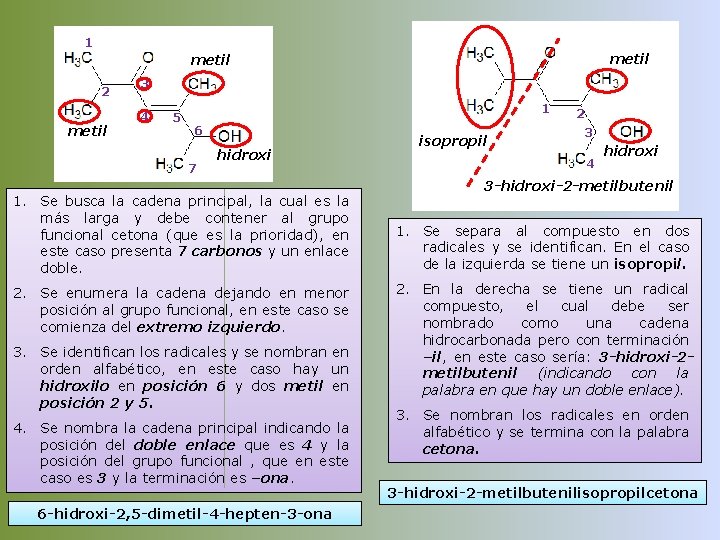 1 metil 2 metil 3 4 5 1 6 7 hidroxi 1. Se busca