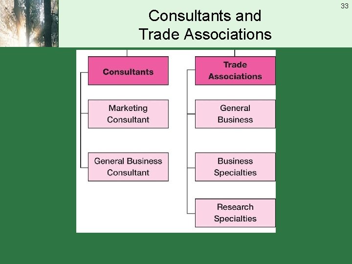 Consultants and Trade Associations 33 