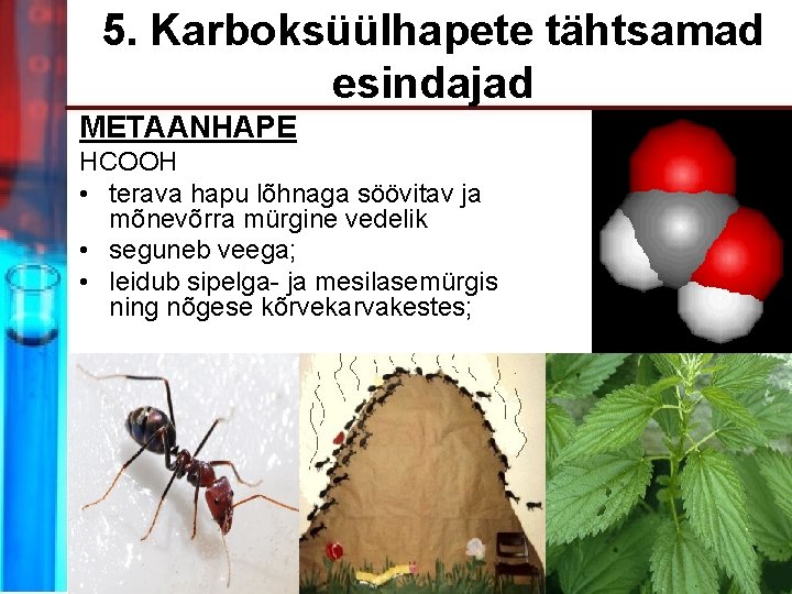 5. Karboksüülhapete tähtsamad esindajad METAANHAPE HCOOH • terava hapu lõhnaga söövitav ja mõnevõrra mürgine