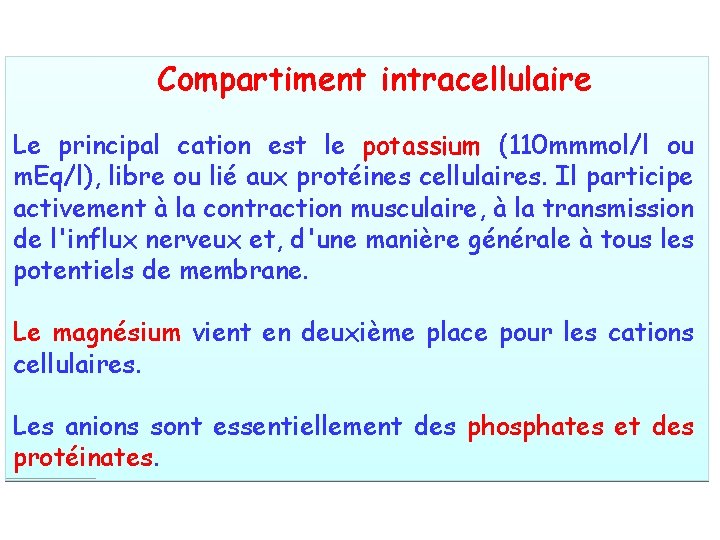Compartiment intracellulaire Le principal cation est le potassium (110 mmmol/l ou m. Eq/l), libre