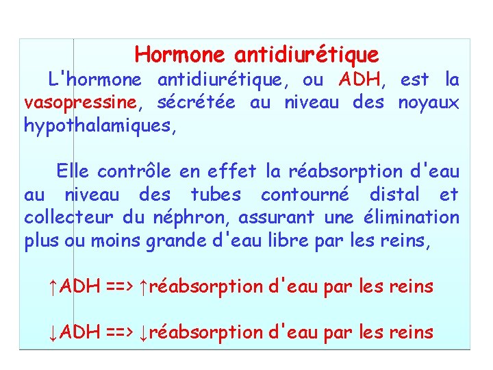 Hormone antidiurétique L'hormone antidiurétique, ou ADH, est la vasopressine, sécrétée au niveau des noyaux