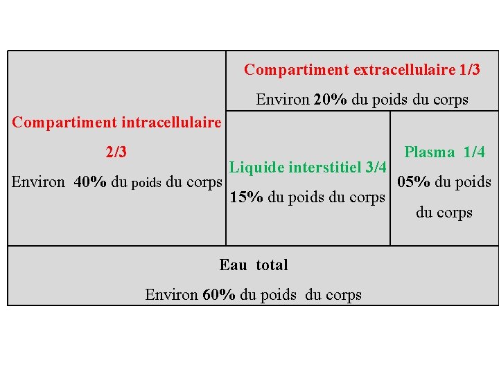 Compartiment extracellulaire 1/3 Environ 20% du poids du corps Compartiment intracellulaire 2/3 Environ 40%