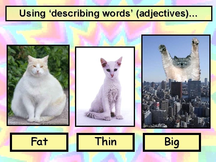 Using ‘describing words’ (adjectives)… Fat Thin Big 