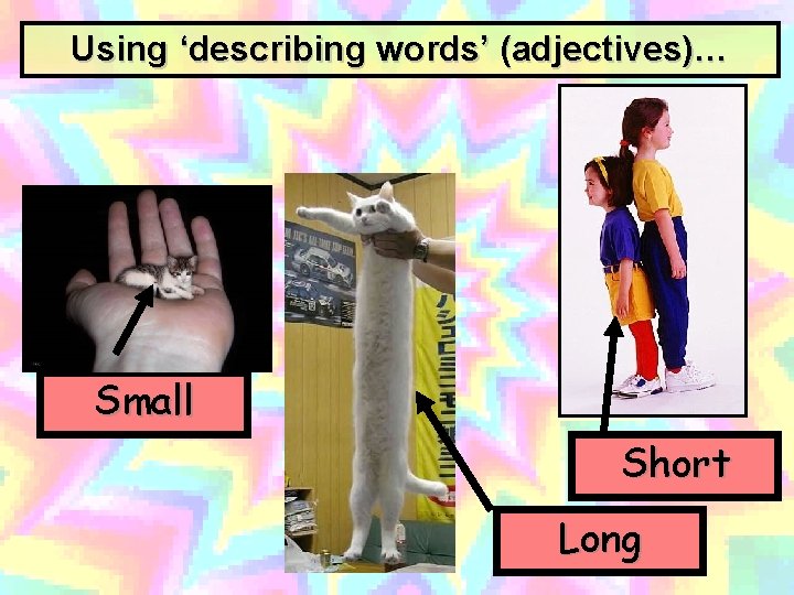 Using ‘describing words’ (adjectives)… Small Short Long 