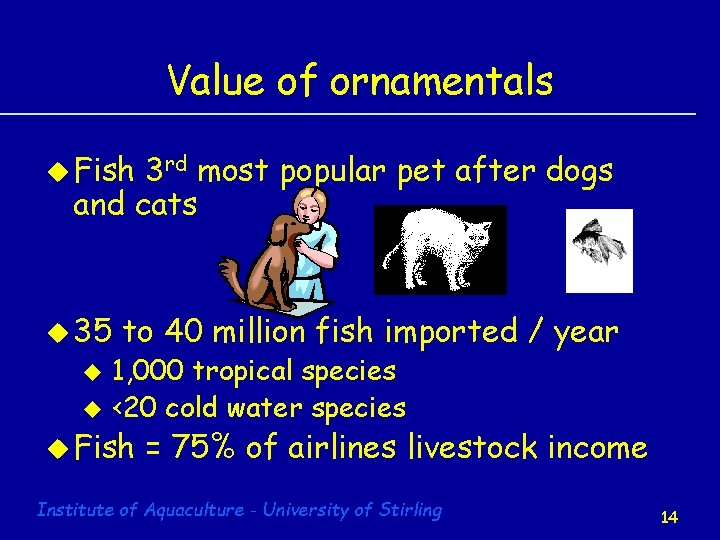 Value of ornamentals u Fish 3 rd most popular pet after dogs and cats