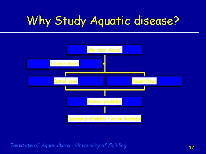 Why Study Aquatic disease? Institute of Aquaculture - University of Stirling 17 