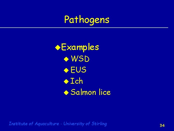 Pathogens u. Examples u WSD u EUS u Ich u Salmon lice Institute of